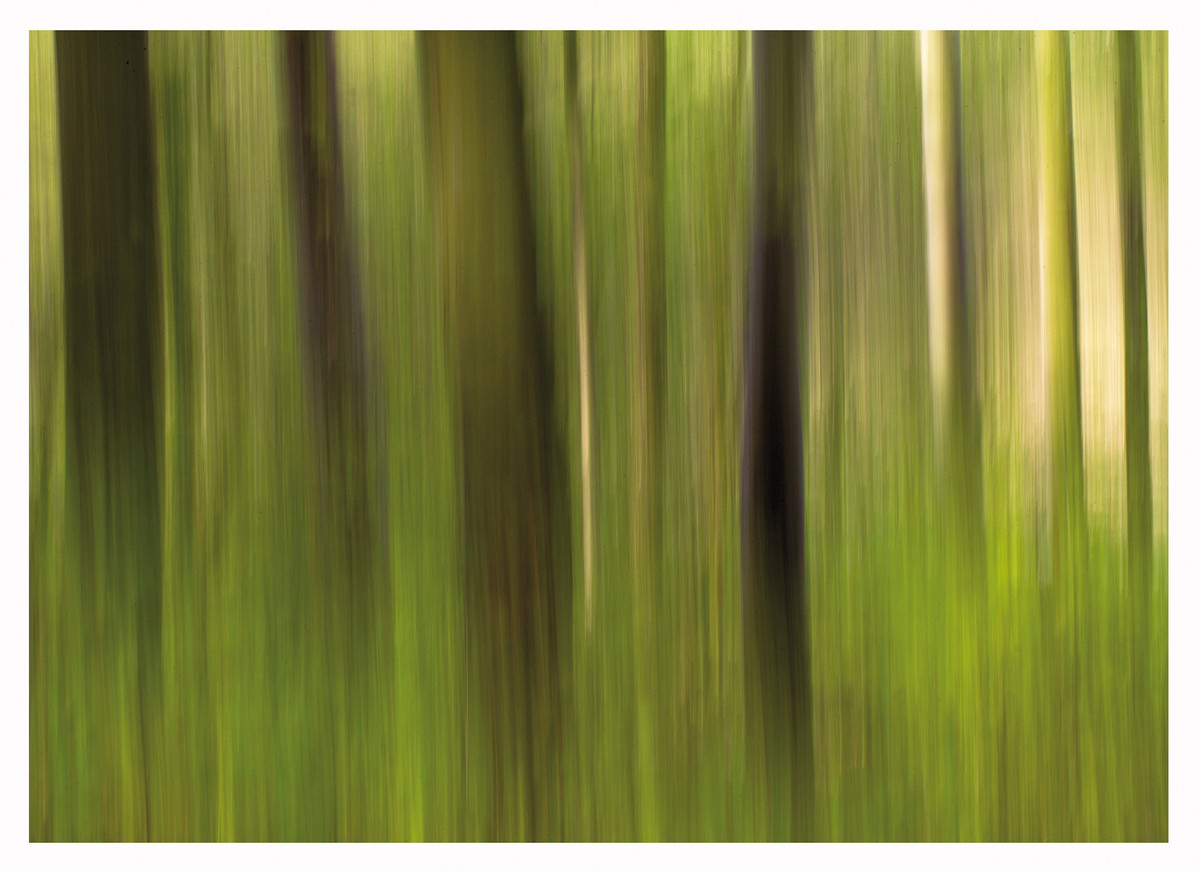 Wald Wischer - 14x10cm