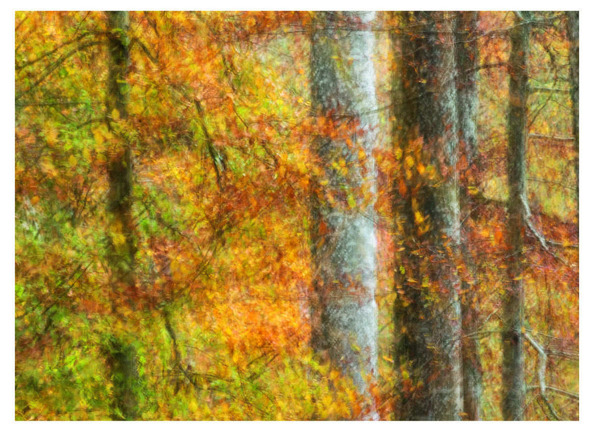 Neue Postkarte 6 - Herbstfarben