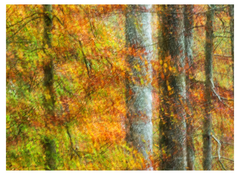 Herbstfarben  - 14x10cm