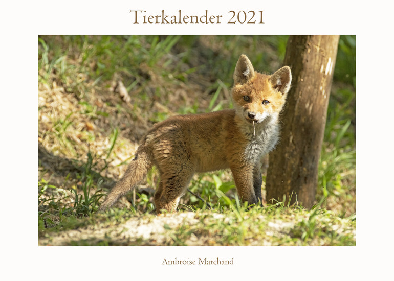 Tierkalender 2021_6