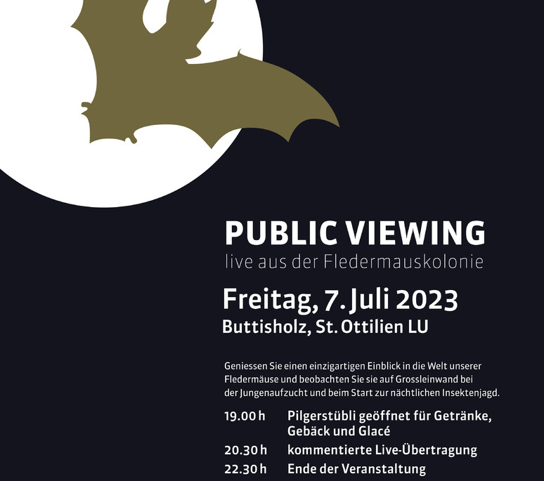 Public Viewing 2023 - Live aus der Fledermauskolonie