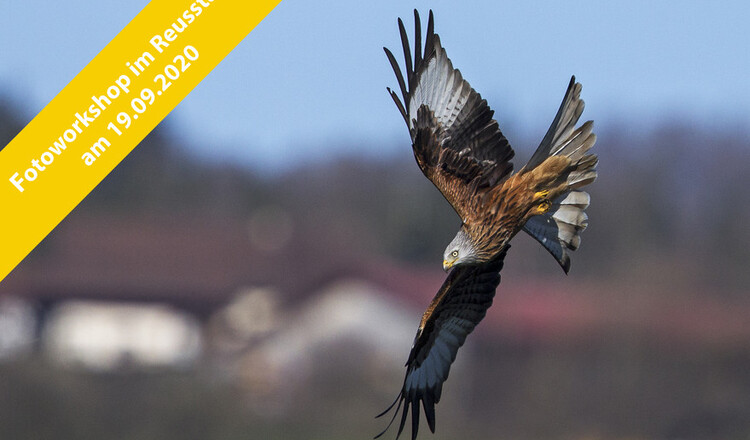 Reusstal - Fotoworkshop - 19092020