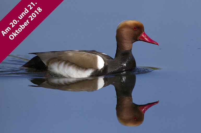 Fotoworkshop Bodensee