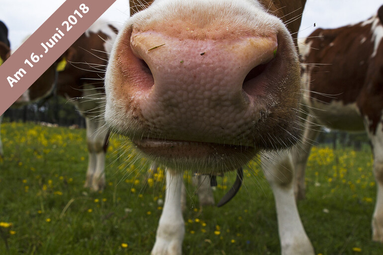 Fotoexkursion Landschaft- und Makrofotografie