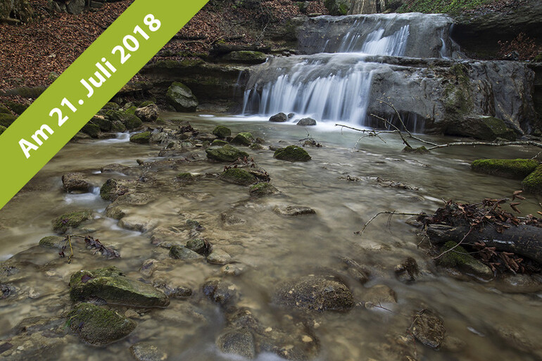Fotoexkursion Wasser im Erlenbachertobel (ZH)