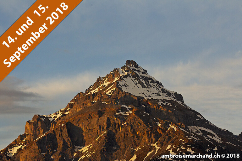 NATURFOTOGRAFIE IN GURTNELLEN