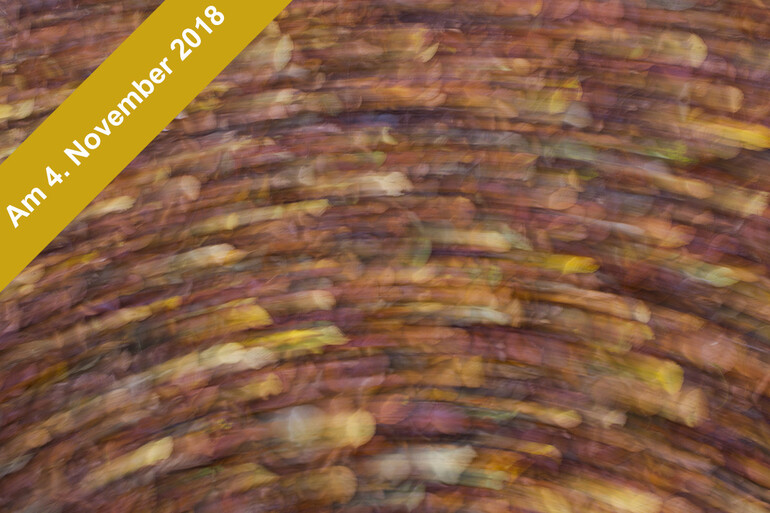 WWF-Fotoexkursion Herbstfarben